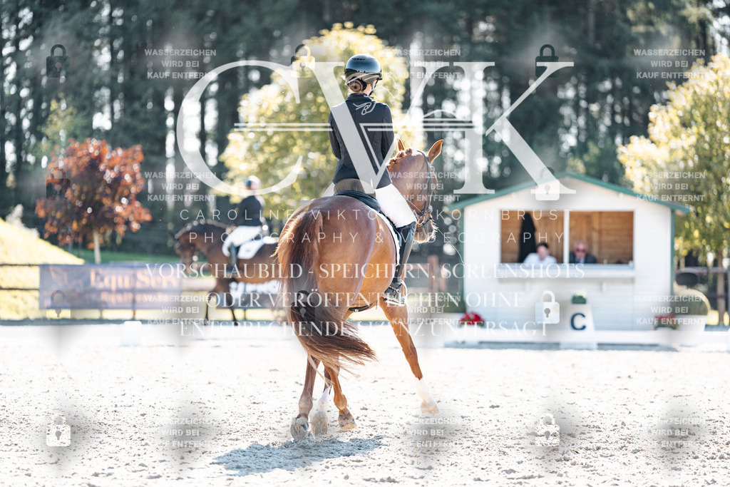CK906010 | Turnierfotografie Pferdefotografie Trier Rheinland-Pfalz Pferdesport Reitsport Tierfotografie Sportfotografie Pferdevideo Pferdevideografie Equestrianvideography equestrianphotography  - Realisiert mit Pictrs.com