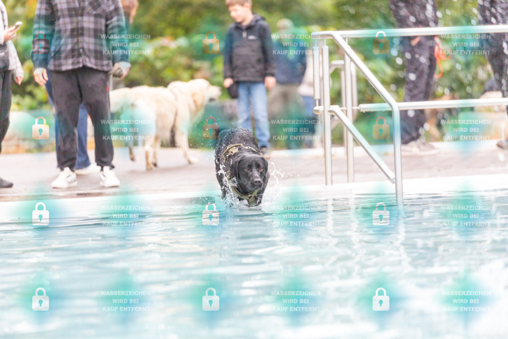 _HP_7356_1000o | HetPix, HetPix Fotodesign, Fotografie, Fotodesign, Webshop, Sportfotografie, Portraitfotografie, Onlineshop, Sportfotografie, Polch, Motorsportfotografie, Eventfotografie