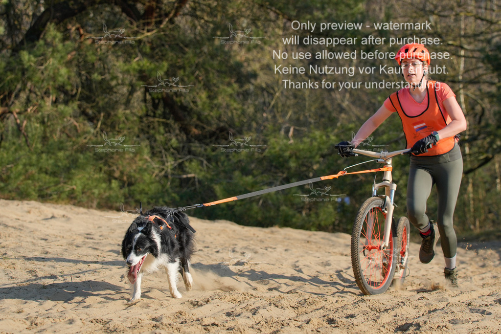 So_Scooter-315 | stephaniefillaphotographie - Realisiert mit Pictrs.com