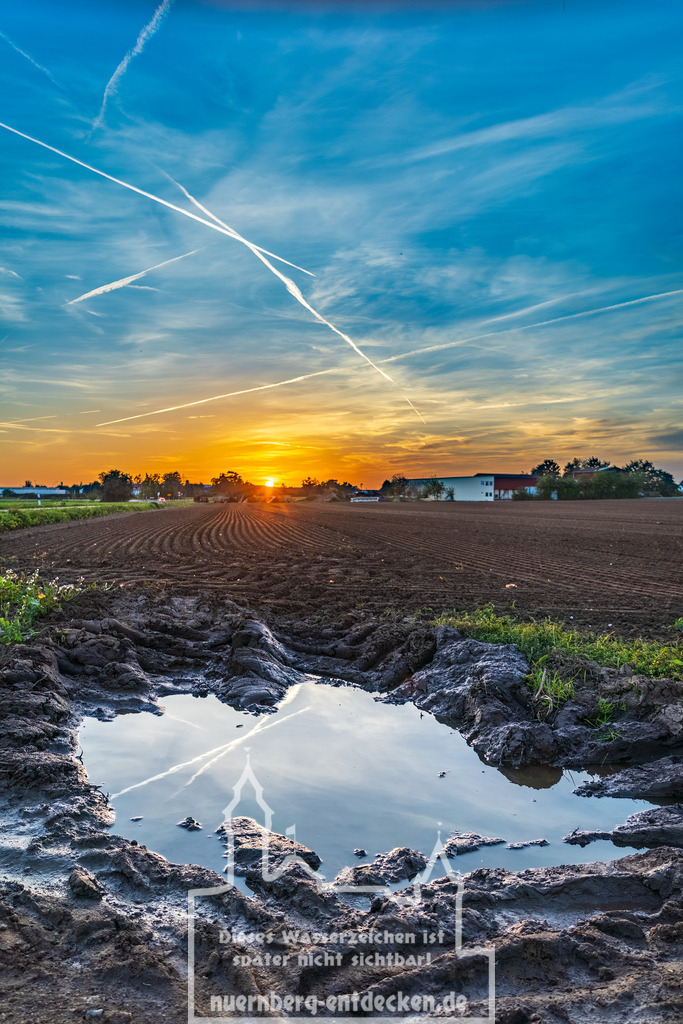 Knoblauchsland Nürnberg-Fürth | Flugverkehr im Himmel über dem Knoblauchland mit zahlreichen kreuzenden Kondensstreifen über dem fränkischen Abendhimmel. Im Vordergrund eine große Pfütze auf einem frisch geplügten Gemüseacker. Das Knoblauchsland ist bekannt für seine stadtnahen Gemüseanbau und die Versorgung der Region mit frischen Gemüse. - Realisiert mit Pictrs.com