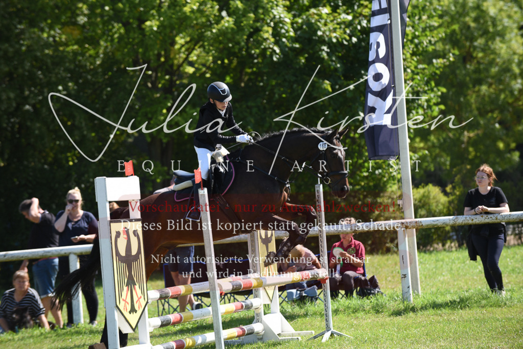 DSC_9377 | Pferde- und Turnierfotografie in Westsachsen. Pferdeportraits, Auftragszeichnungen und intuitive Kunst.
