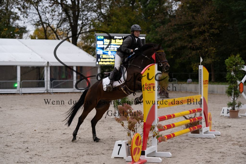 A7V09915 | Turnier/Reitfotograf