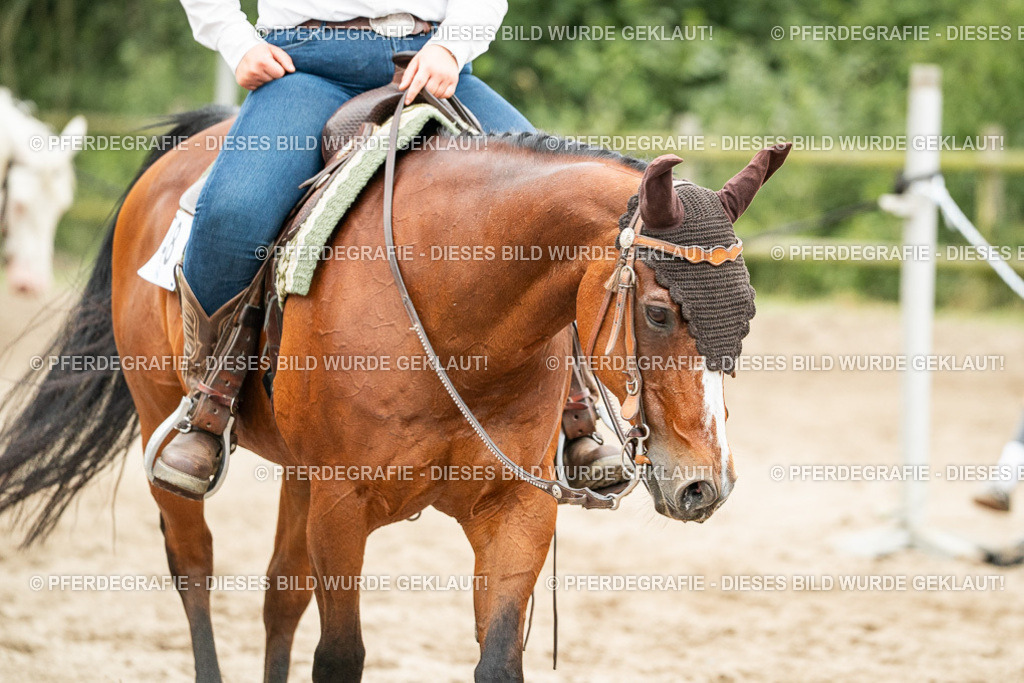 DSC04321 | Pferdegrafie