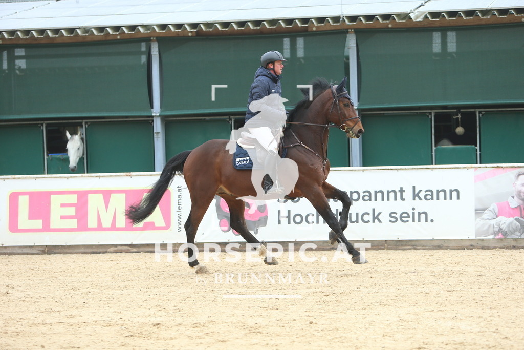 DL2Q8739 | Willkommen bei Brunnmayr - Design & Fotografie – Ihrem Spezialisten für Reitturniere und Pferdeveranstaltungen in Oberösterreich, Salzburg und Bayern! Seit über 17 Jahren sind wir leidenschaftlich dabei.