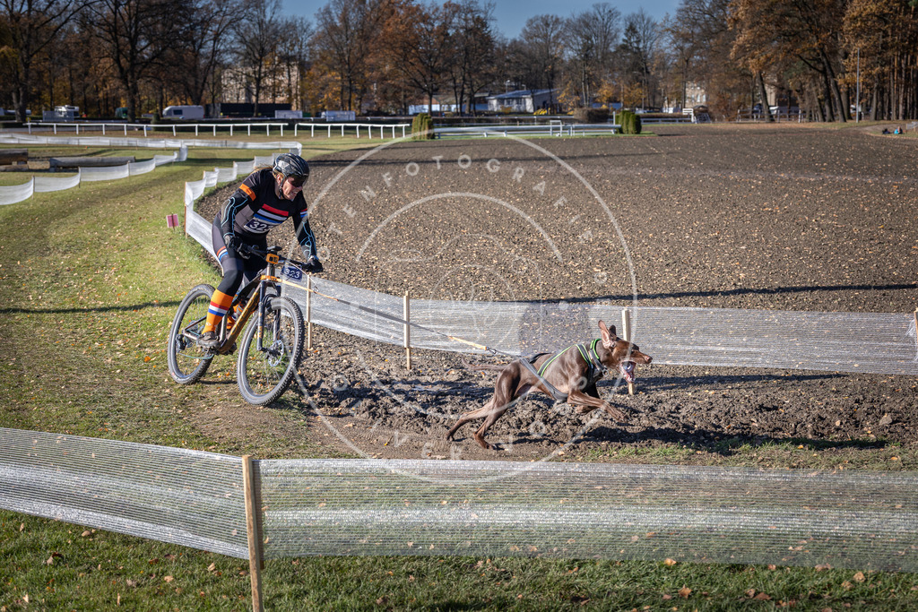 CaniXpix_DV3A6573 | Hundefotografie, Tierfotograf, Pfotenfotografie, Fotoshooting Hund, Hunde Portrait, Hundesport, Hundeportraits, Heideshooting, Hunde, Sportfotograf, Hundefotograf, Turnierhundsport, THS,  - Realisiert mit Pictrs.com