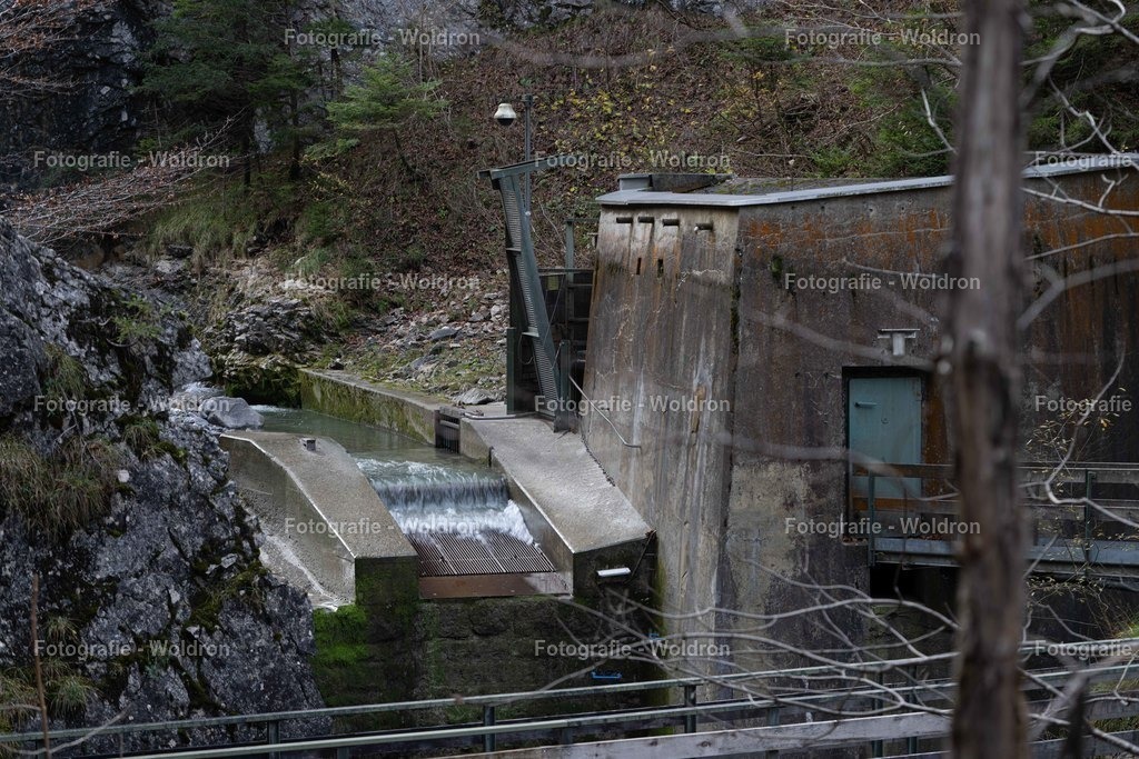 20221109 Rappenlochschlucht Dornbirn-8 | Fotografie Woldron