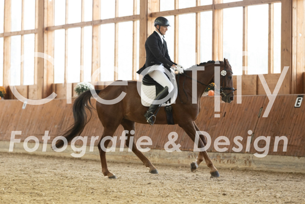 IMG_2590 | Creatify Fotografie