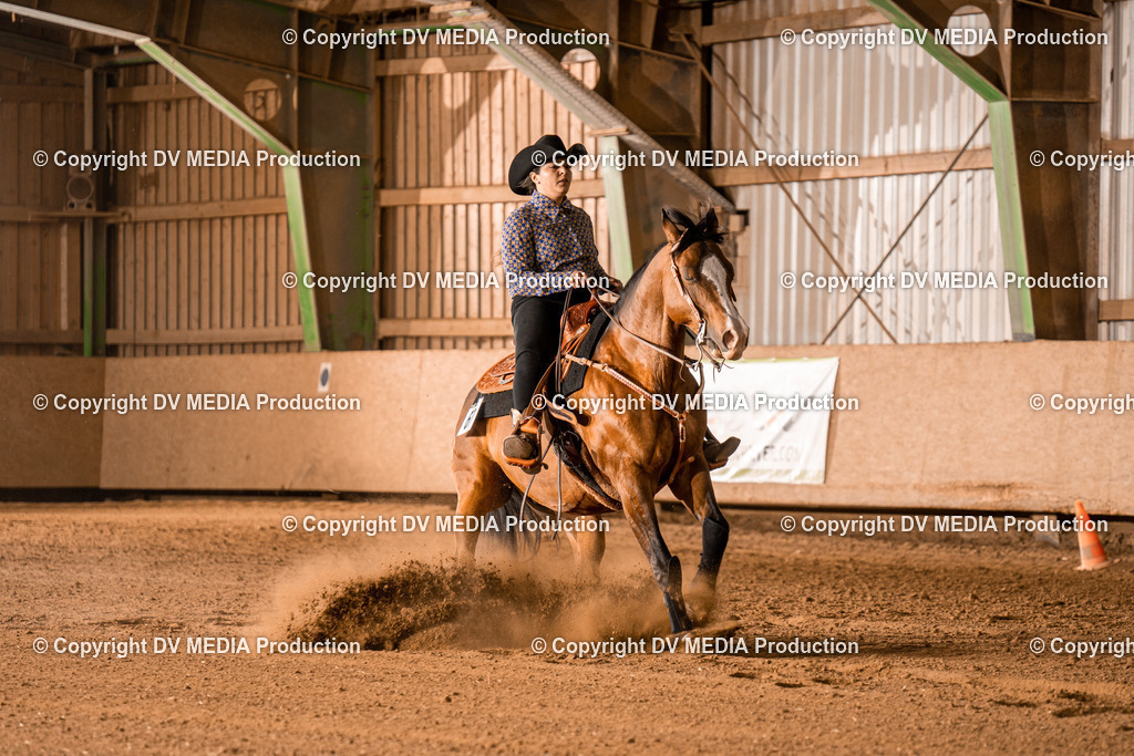 BA301139 | dv-media-shop - Realisiert mit Pictrs.com