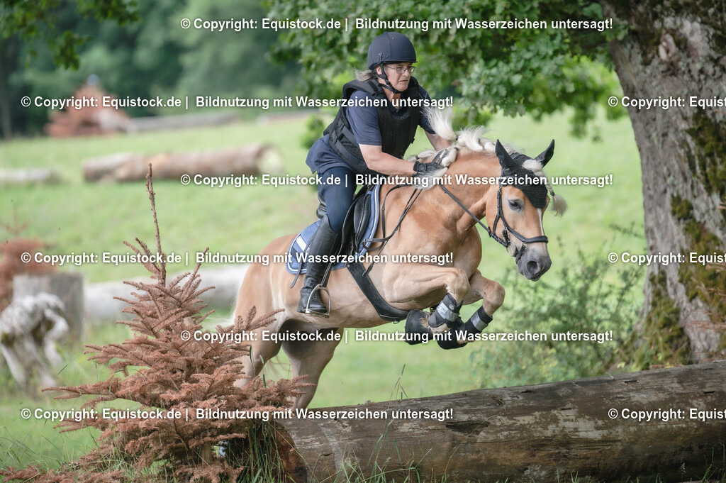 20250726_Vielseitigkeitslehrgang-Marbach_0534 | Foto: Thomas Hartig