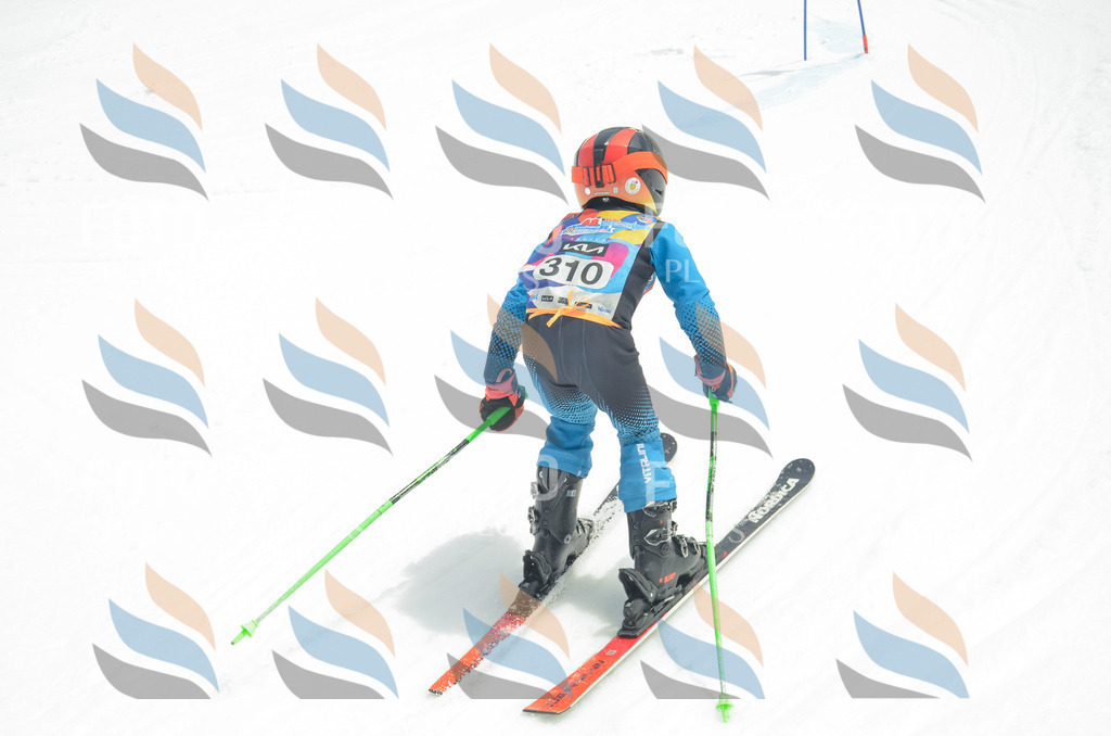 _ELE8393 | holidayphoto