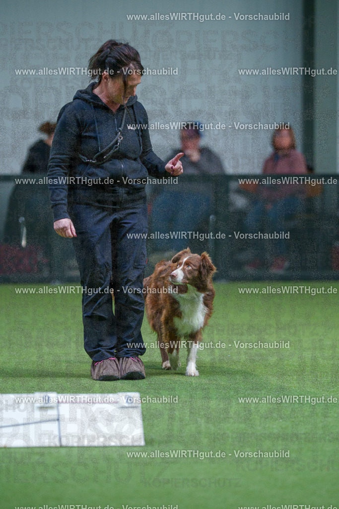 7R501709 | Professionelle Tierfotografie in Mönchengladbach von Daniel Wirth (allesWIRTHgut). Liebevolle & natürliche Bilder von Hunden & Katzen für unvergessliche Erinnerungen.