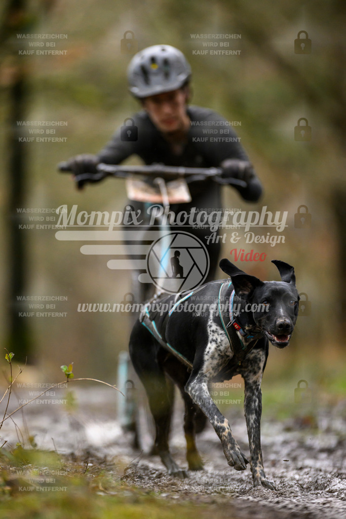 MompixPhotography_CDSM24_SA_DS1-32 | PayLife