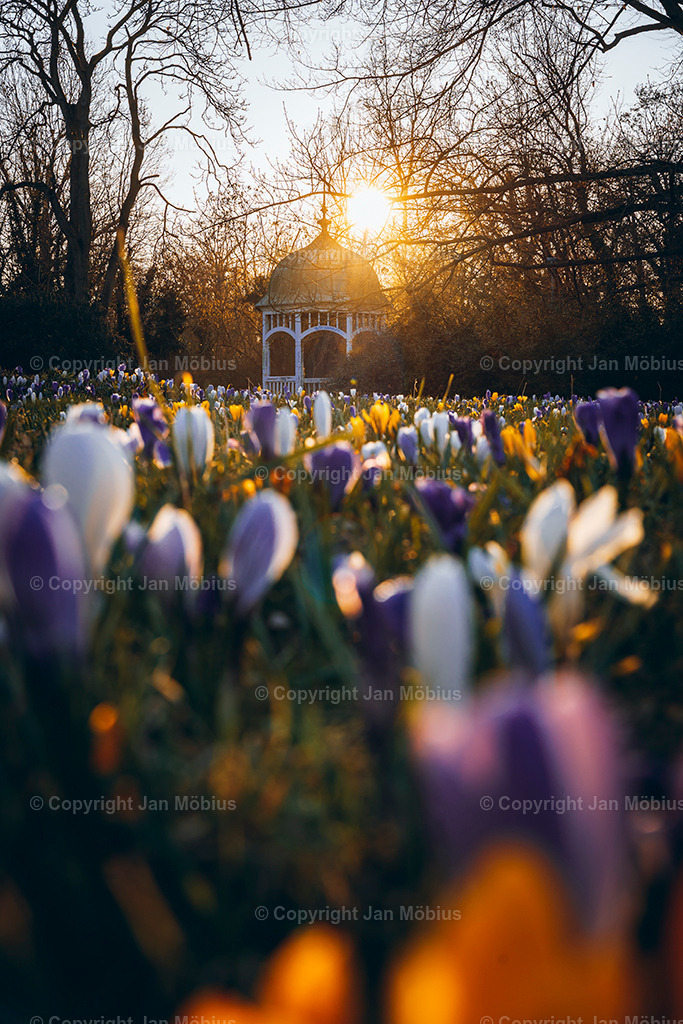 _DSC0430 | Leipzig Wandbilder Drucke Prints Leinwand Stadtmotive Leipzig Fotosdruck Kunstdrucke Bilder Leipzig Stadtansichten Acrylglasbilder Leipzig Wanddeko Fine Art Prints Wandbilder Büro Leipzig Bilder Praxis Zuhause Bilderdruck Poster Posterlounge Kunstdrucke - Realisiert mit Pictrs.com