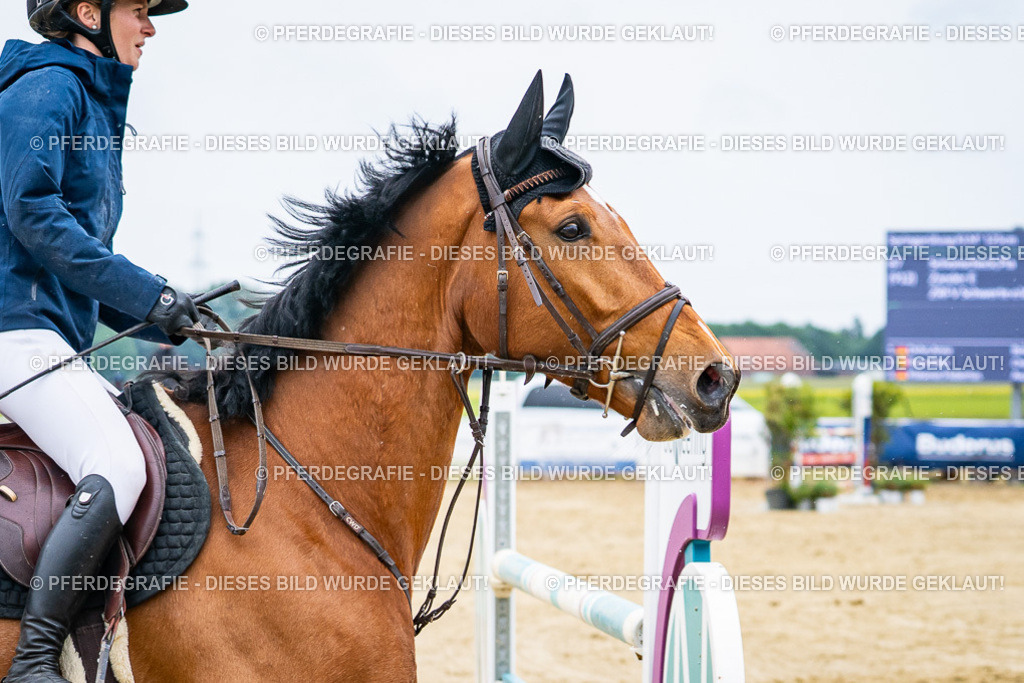 DSC09383 | Pferdegrafie