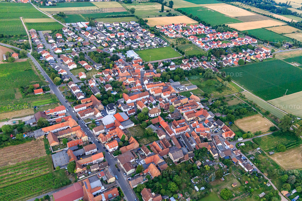 Luftbild: Ortsansicht von Westen im Ortsteil Dammheim in Landau im Bundesland Rheinland-Pfalz in Deutschland. Foto: IMG_115666.jpg vom 29.06.2019 durch Werner Riehm/FLY-FOTO.de