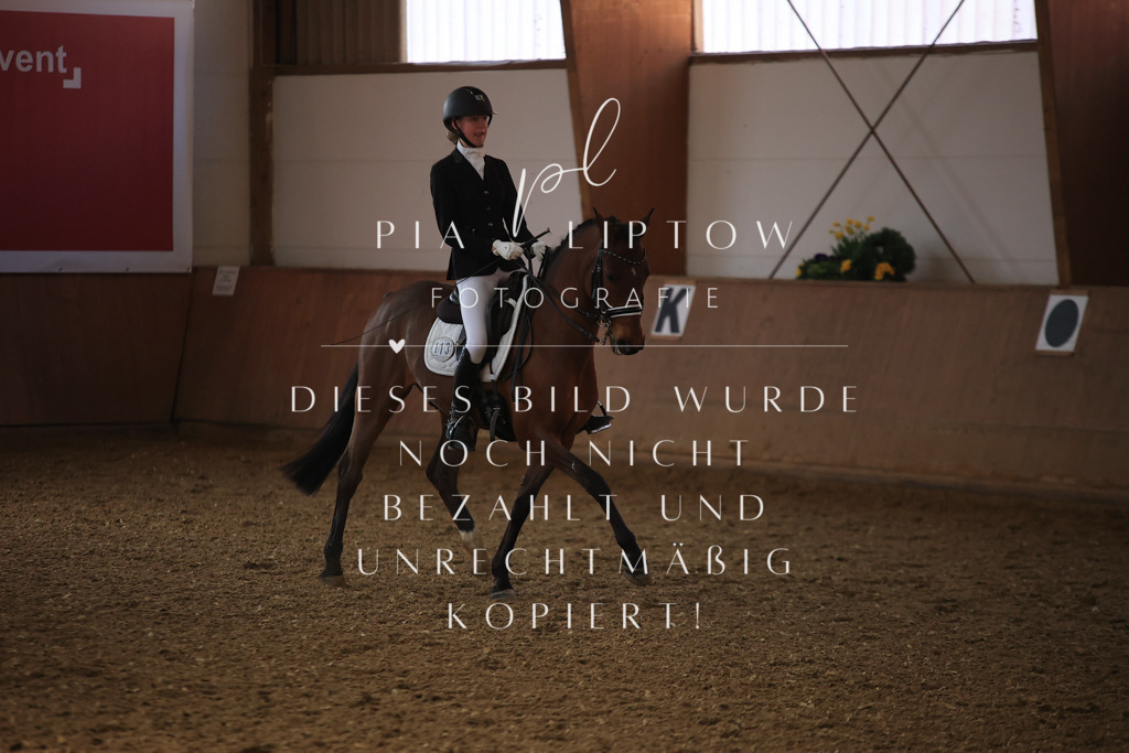 IMGT3296 | pl-fotografie