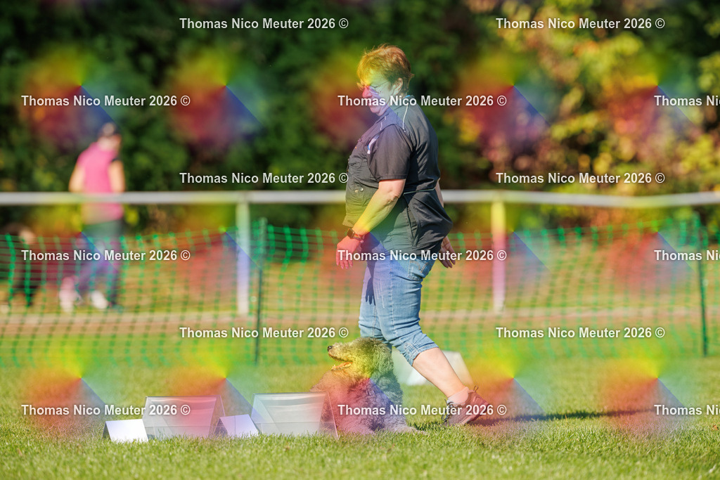Thomas_Nico_Meuter(C)_04. Oktober 2026_223A2945 | Bild von Thomas Nico Meuter - Realisiert mit Pictrs.com
