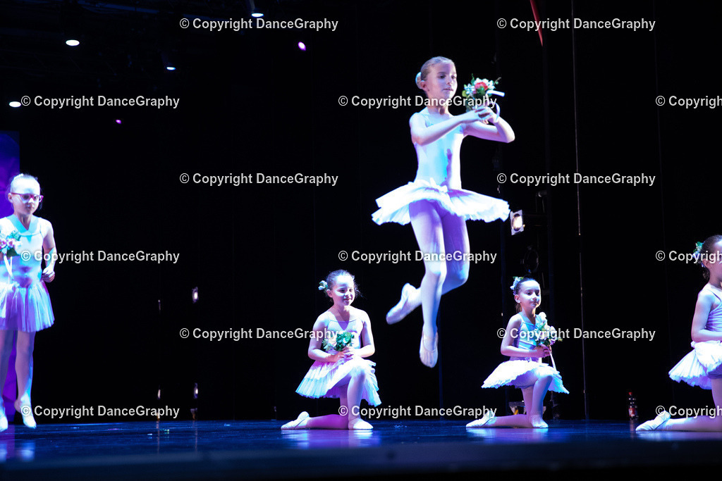 GPHY4886 | DanceGraphy - Realisiert mit Pictrs.com