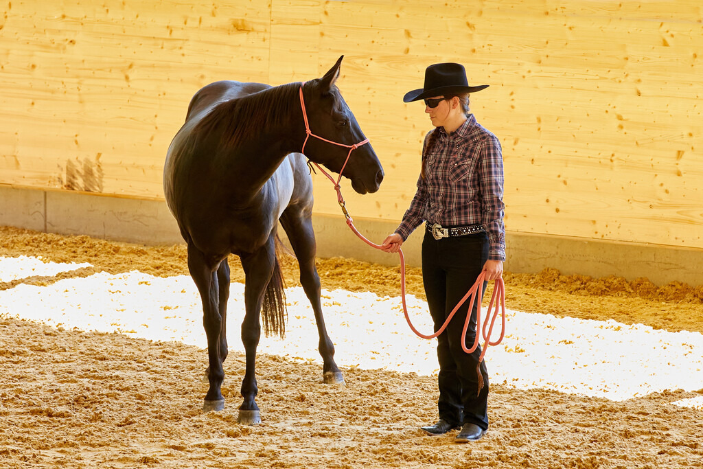 2020_07_19 Schweizersbild 131 | Peter Fridle Fotografie - Realisiert mit Pictrs.com