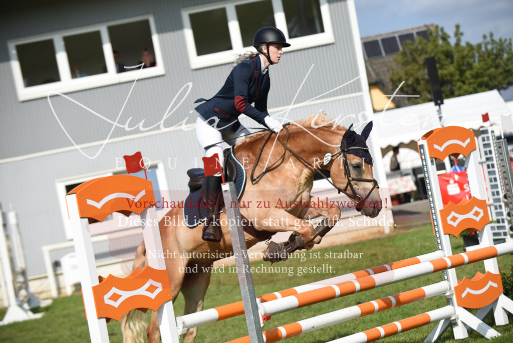 DSC_8896 | Pferde- und Turnierfotografie in Westsachsen. Pferdeportraits, Auftragszeichnungen und intuitive Kunst.