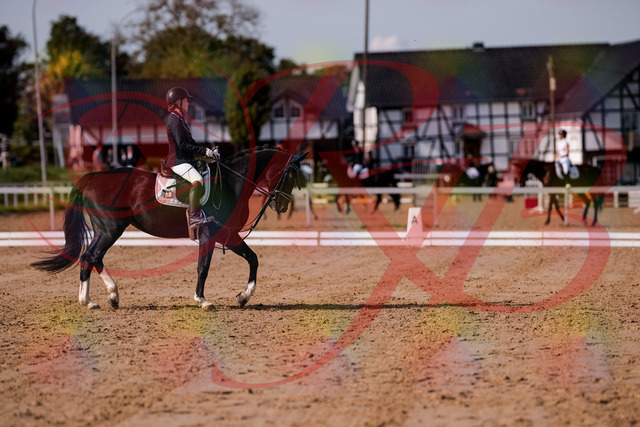 2026_10_03_Siefer-Hof_121535_Z81_17233864 | Professionelle Reitsport-, Turnier- und Eventfotografie von Robert Broda. Galerien mit ausgewählten und bearbeiteten Bildern direkt online ansehen und bestellen.