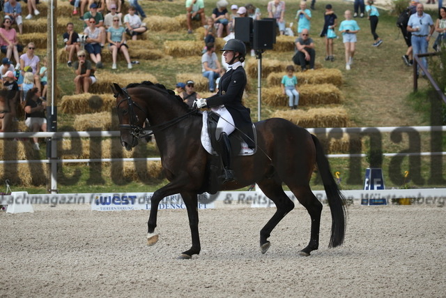 Birkhof_2022_GrandPrixSpecial_Nicole Isser_DiCaprio 4 (22) | Alle Fotos der Reiterjournal Fotografin Doris Matthaes im Reiterjournal Online-Fotoshop. - Realisiert mit Pictrs.com