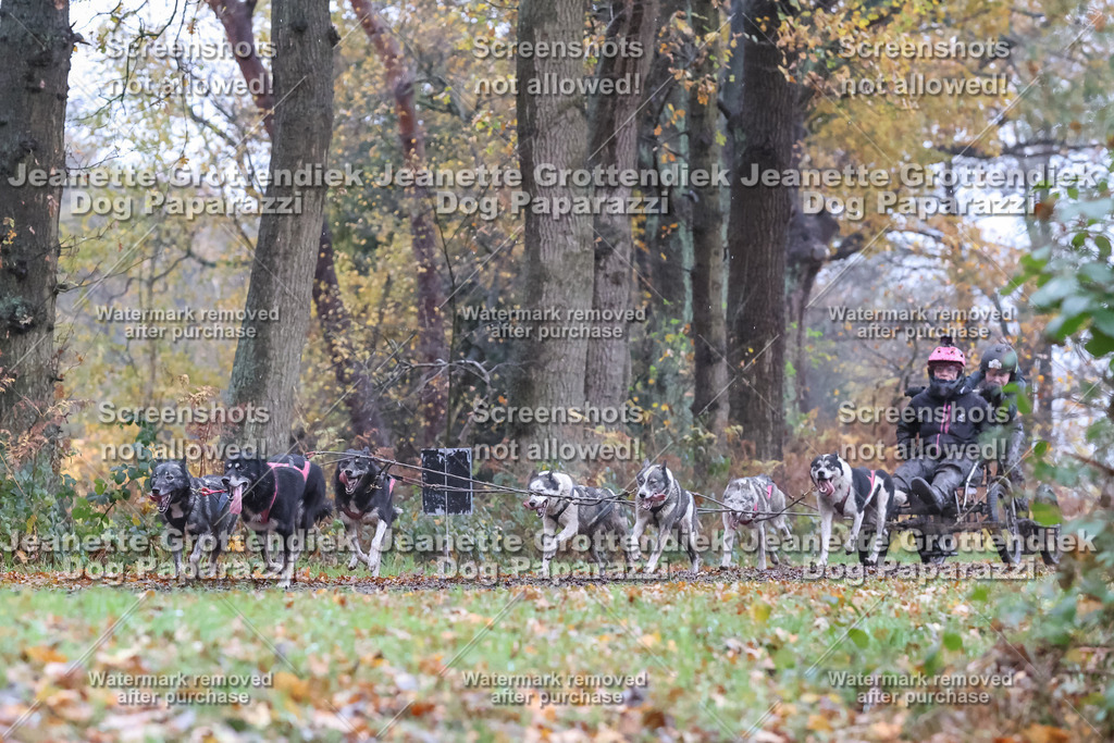 Dog Paparazzi - Ströhen 25-17 | Dog Paparazzi Jeanette Grottendiek Fotografie & Videografie