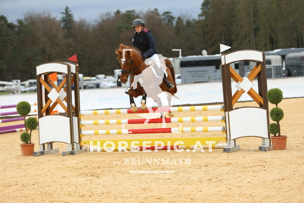 DL2Q1668 | Willkommen bei Brunnmayr - Design & Fotografie – Ihrem Spezialisten für Reitturniere und Pferdeveranstaltungen in Oberösterreich, Salzburg und Bayern! Seit über 17 Jahren sind wir leidenschaftlich dabei.