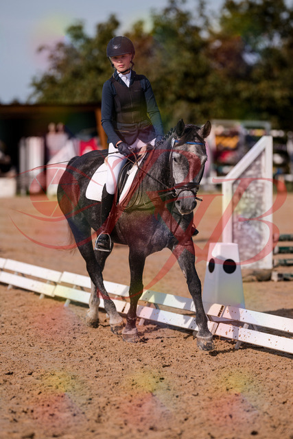 2026_10_03_Siefer-Hof_120028_Z81_02232364 | Professionelle Reitsport-, Turnier- und Eventfotografie von Robert Broda. Galerien mit ausgewählten und bearbeiteten Bildern direkt online ansehen und bestellen.