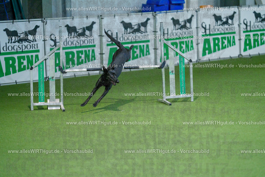 @allesWIRTHgut_Tierfotografie - www.allesWIRTHgut.de - 2604250934-7R508488 | Professionelle Tierfotografie in Mönchengladbach von Daniel Wirth (allesWIRTHgut). Liebevolle & natürliche Bilder von Hunden & Katzen für unvergessliche Erinnerungen.