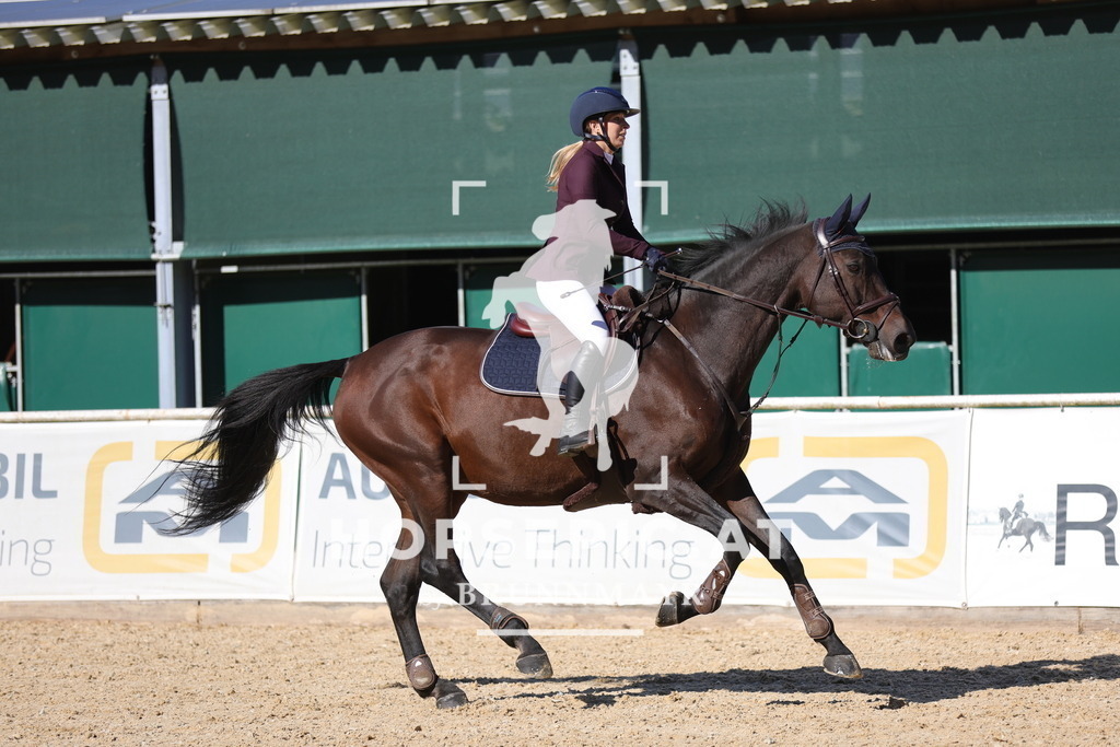 0P6A0896 | Willkommen bei Brunnmayr - Design & Fotografie – Ihrem Spezialisten für Reitturniere und Pferdeveranstaltungen in Oberösterreich, Salzburg und Bayern! Seit über 17 Jahren sind wir leidenschaftlich dabei.