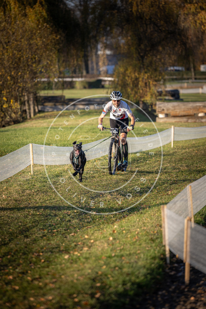 CaniXpix_DV3A0749 | Hundefotografie, Tierfotograf, Pfotenfotografie, Fotoshooting Hund, Hunde Portrait, Hundesport, Hundeportraits, Heideshooting, Hunde, Sportfotograf, Hundefotograf, Turnierhundsport, THS,  - Realisiert mit Pictrs.com