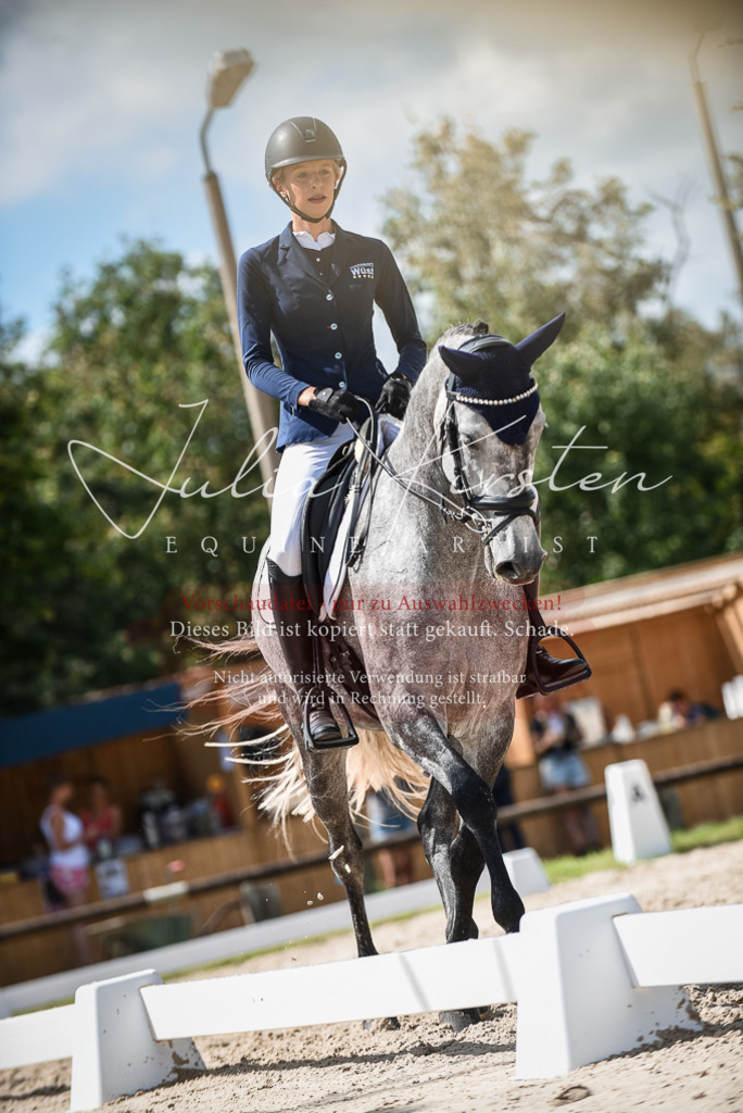 DSC_9276 | Pferde- und Turnierfotografie in Westsachsen. Pferdeportraits, Auftragszeichnungen und intuitive Kunst.