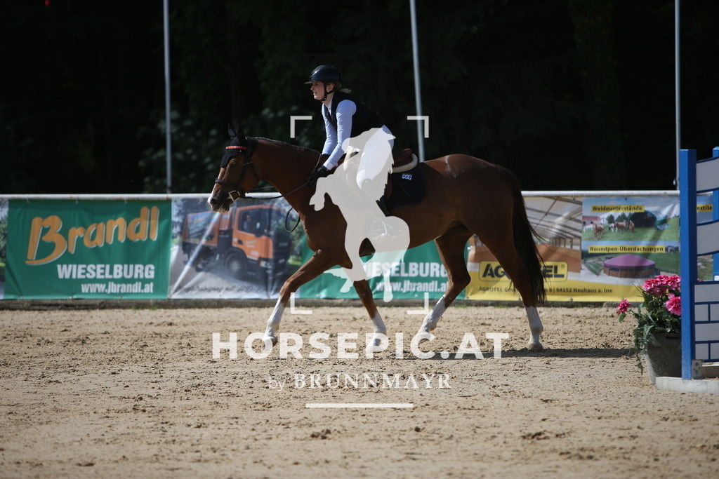 PP017810 | Willkommen bei Brunnmayr - Design & Fotografie – Ihrem Spezialisten für Reitturniere und Pferdeveranstaltungen in Oberösterreich, Salzburg und Bayern! Seit über 17 Jahren sind wir leidenschaftlich dabei.