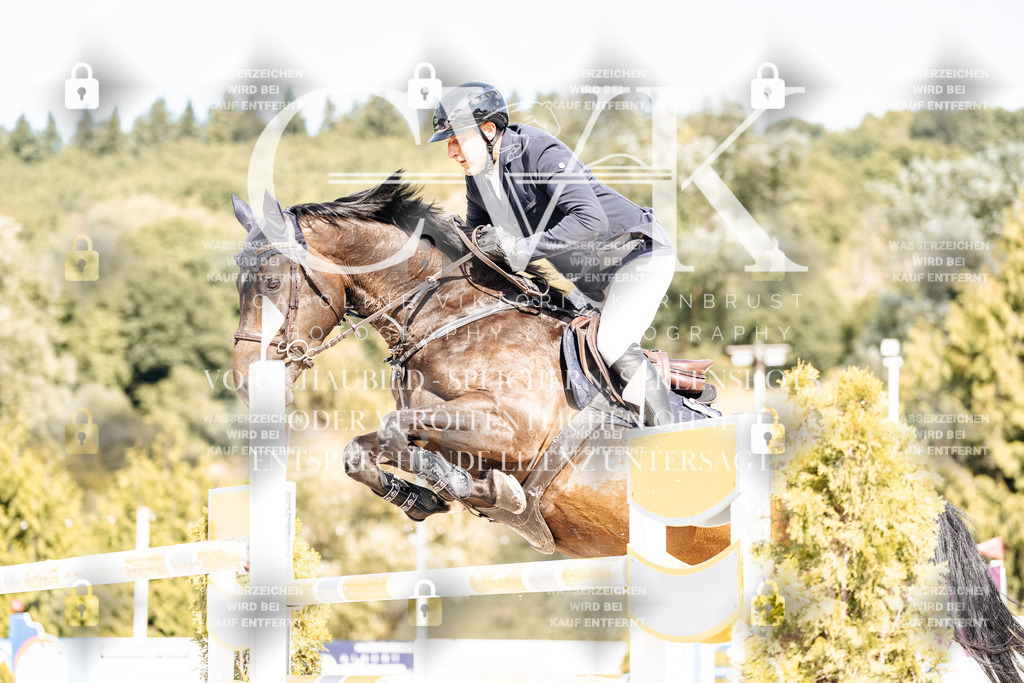 CK908999 | Turnierfotografie Pferdefotografie Trier Rheinland-Pfalz Pferdesport Reitsport Tierfotografie Sportfotografie Pferdevideo Pferdevideografie Equestrianvideography equestrianphotography  - Realisiert mit Pictrs.com