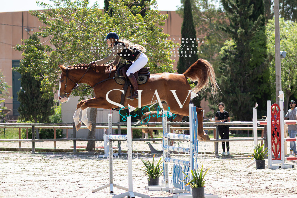 IMG_0028 | s-jay-photography - Realized with Pictrs.com