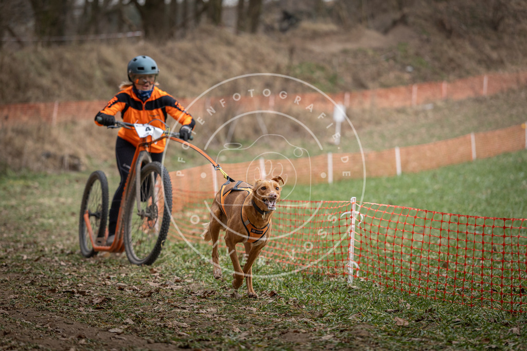 Pfotenfotografie_DV3A0446 | Hundefotografie, Tierfotograf, Pfotenfotografie, Fotoshooting Hund, Hunde Portrait, Hundesport, Hundeportraits, Heideshooting, Hunde, Sportfotograf, Hundefotograf, Turnierhundsport, THS,  - Realisiert mit Pictrs.com
