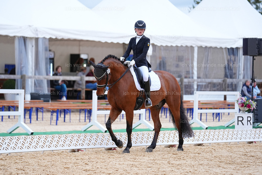 04_2-006-Dressur M__ -Marixx-3083 | working equitationturnier fotograf videograf stoibphotography marixx film working equitation deutschland reitsport turnierfotografie eventfotografie equestrian events