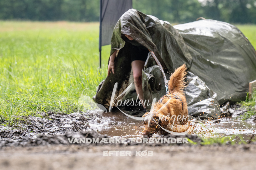 0941_ZZ91342 | kk-dogfotos