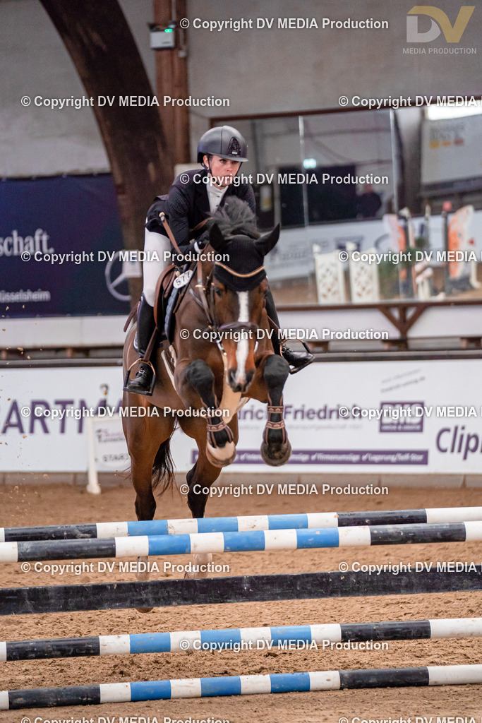 Kranichstein II Tag 1-111 | dv-media-shop - Realisiert mit Pictrs.com