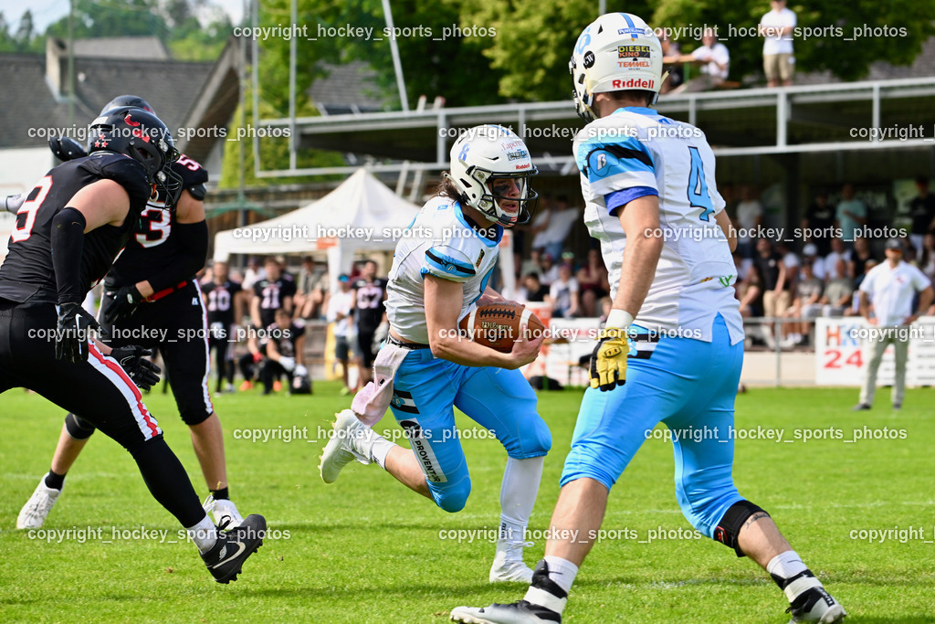 Carinthian Lions vs. Styrian Bears | Carinthian Lions vs. Styrian Bears, Carinthian Lions vs. Styrian Bears am 20.05.2024 in Klagenfurt (ASV Sportplatz), Austria, (Photo by Bernd Stefan)