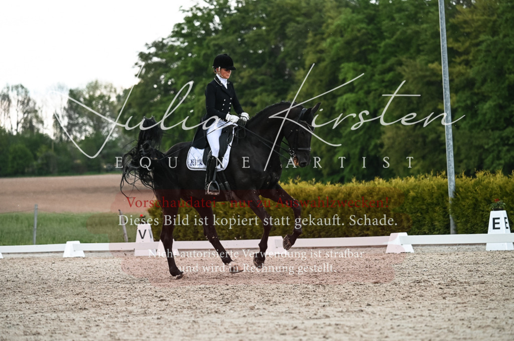 20230514_JK-Röhrsdorf-21-473 | Pferde- und Turnierfotografie in Westsachsen. Pferdeportraits, Auftragszeichnungen und intuitive Kunst.