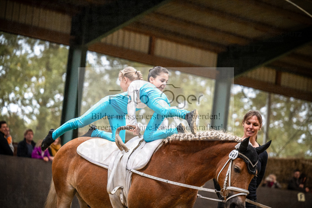 DOS_0233 | Entdecke hochwertige Reitturnierfotos von Foto Oger. Professionell, emotional und authentisch – jetzt Lieblingsmomente im Shop bestellen.Deutschlandweite Turnierfotografie. - Realisiert mit Pictrs.com