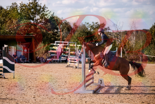 2026_10_03_Siefer-Hof_155332_Z81_73011367 | Professionelle Reitsport-, Turnier- und Eventfotografie von Robert Broda. Galerien mit ausgewählten und bearbeiteten Bildern direkt online ansehen und bestellen.