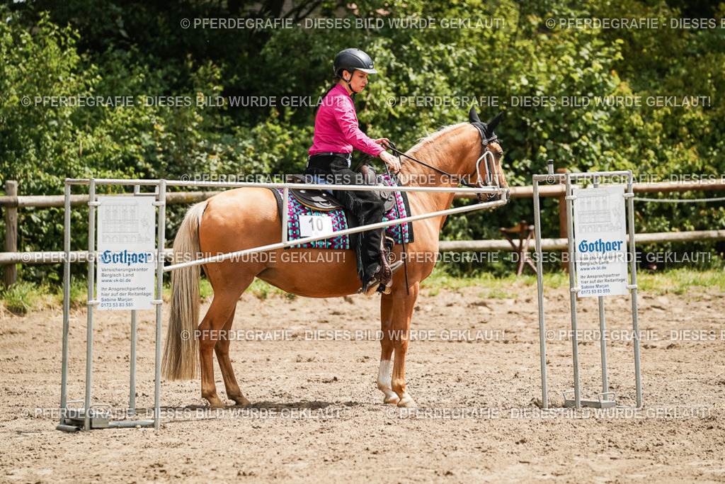 DSC08062 | Pferdegrafie