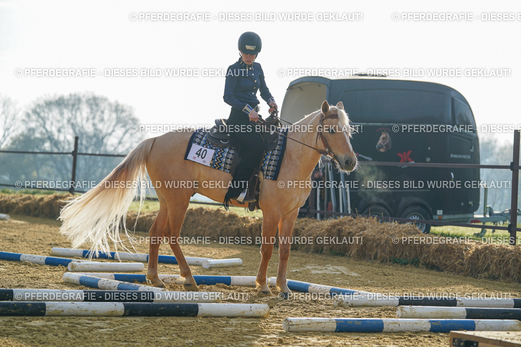 DSC09947 | Pferdegrafie