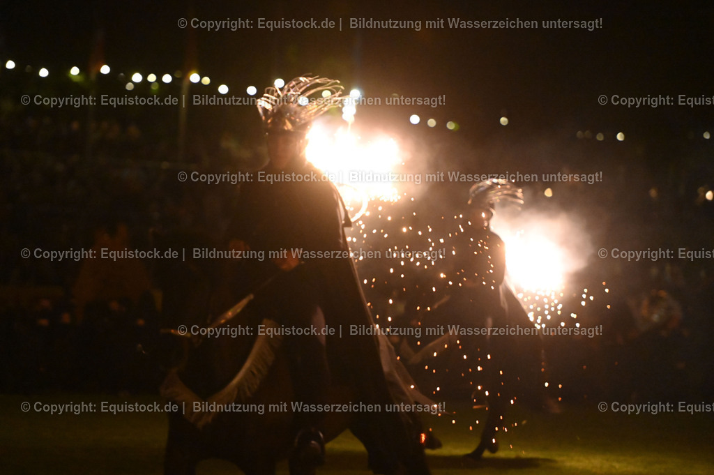 20230526_Pferdenacht_1587 | equistock