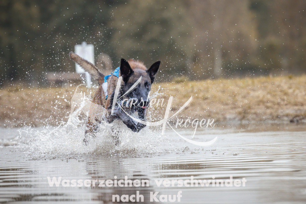 1358_ZZ95002 | kk-dogfotos
