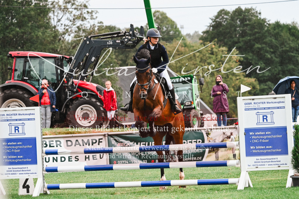 DSC_6393 | Pferde- und Turnierfotografie in Westsachsen. Pferdeportraits, Auftragszeichnungen und intuitive Kunst.