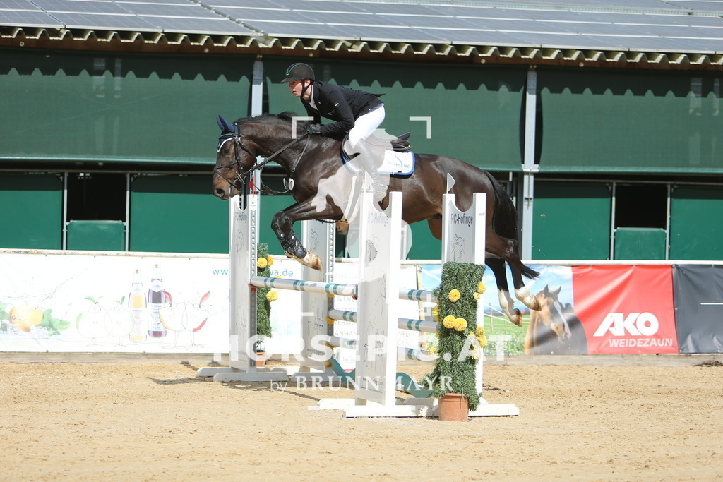 DL2Q9062 | Willkommen bei Brunnmayr - Design & Fotografie – Ihrem Spezialisten für Reitturniere und Pferdeveranstaltungen in Oberösterreich, Salzburg und Bayern! Seit über 17 Jahren sind wir leidenschaftlich dabei.